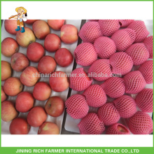 Exportación Nueva Cultivo Grado Uno Fruta Chino Fresco Fuji Rojo Apple